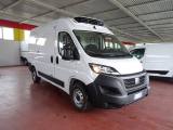FIAT Ducato 35Q 2.2 Mjt 140CV PM-TM FRIGO FRCX -20°