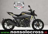 MORBIDELLI F 125 - ANNO 2026