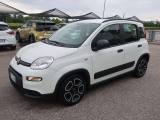 FIAT Panda Panda III 1.0 firefly hybrid City Life s&s