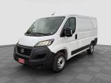 FIAT Ducato Ducato 30 2.2 Mjt 120CV PC-TN Furgone