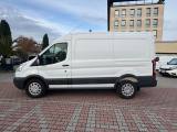 FORD Transit 350 2.0TDCi EcoBlue MHEV 130CV PM-TM FURGONE TREND