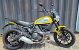 DUCATI Scrambler 800 ICON