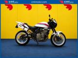 HONDA Hornet 600 Finanziabile - Bianco - 49112