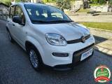 FIAT Panda 1.0 FireFly S&S Hybrid UNICO PROPRIETARIO