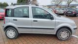 FIAT Panda 1.2 Dynamic Natural Power  Ben Tenuta