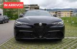 ALFA ROMEO Giulia 2.0 Turbo 280 CV AT8 AWD Q4 Competizione