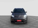 FIAT Panda Panda 1.0 FireFly Hybrid City Life