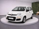 FIAT Panda III 1.0 HY FireFly 70Cv S&S Easy