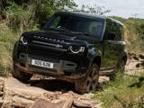 LAND ROVER Defender 110 3.0D I6 250CV AWD Auto XS EDITION TETTO/7 POST
