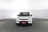 FIAT Panda Panda 1.0 FireFly Hybrid City Life