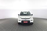 FIAT Panda Panda 1.0 FireFly Hybrid City Life