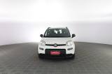FIAT Panda Panda 1.0 FireFly Hybrid City Life