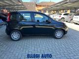 FIAT Panda PROMO FINANZ  1.0 HYBRID ICON KM 0