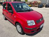 FIAT Panda 117,205km 1.2 Emotion Eco senza lavoro da fare