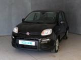 VENDO Auto a Trecate – foto 1