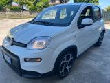 FIAT Panda 1.0 FireFly Hybrid SPORT PREZZO REALE NO VINCOLI