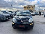 FIAT Panda 1.0 FireFly S&S Hybrid Easy