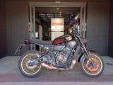 YAMAHA XSR 700 my 23