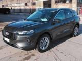 FORD Kuga Titanium  2.5 Full Hybrid Aut.(HF45) 180 CV Anteri