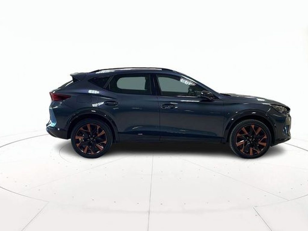 immagine usato CUPRA Formentor 2.0 tdi 150cv dsg