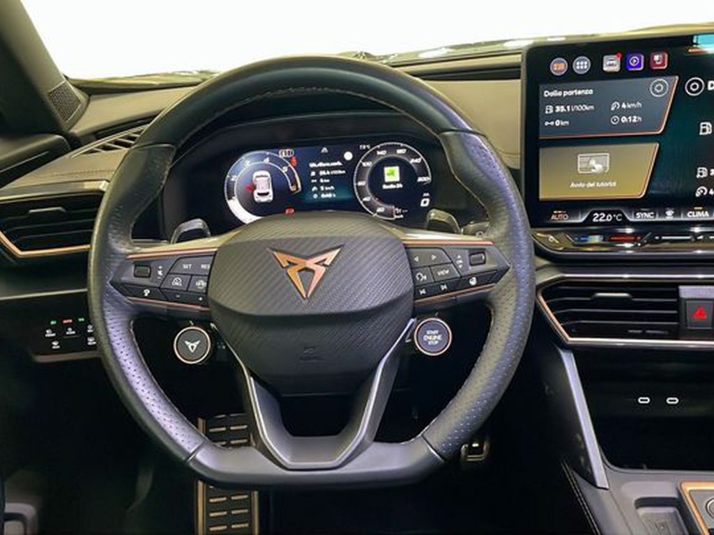immagine usato CUPRA Formentor 2.0 tdi 150cv dsg