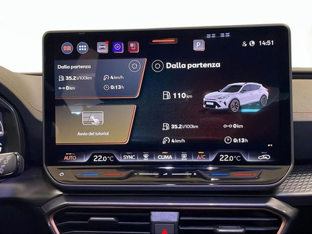 immagine usato CUPRA Formentor 2.0 tdi 150cv dsg