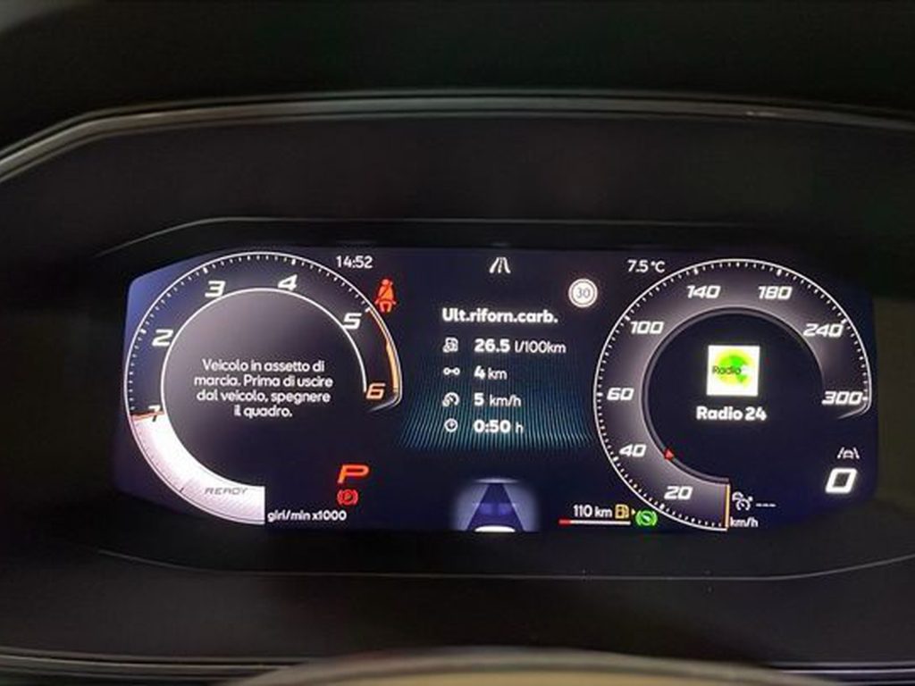 immagine usato CUPRA Formentor 2.0 tdi 150cv dsg