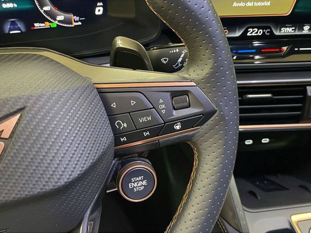 immagine usato CUPRA Formentor 2.0 tdi 150cv dsg
