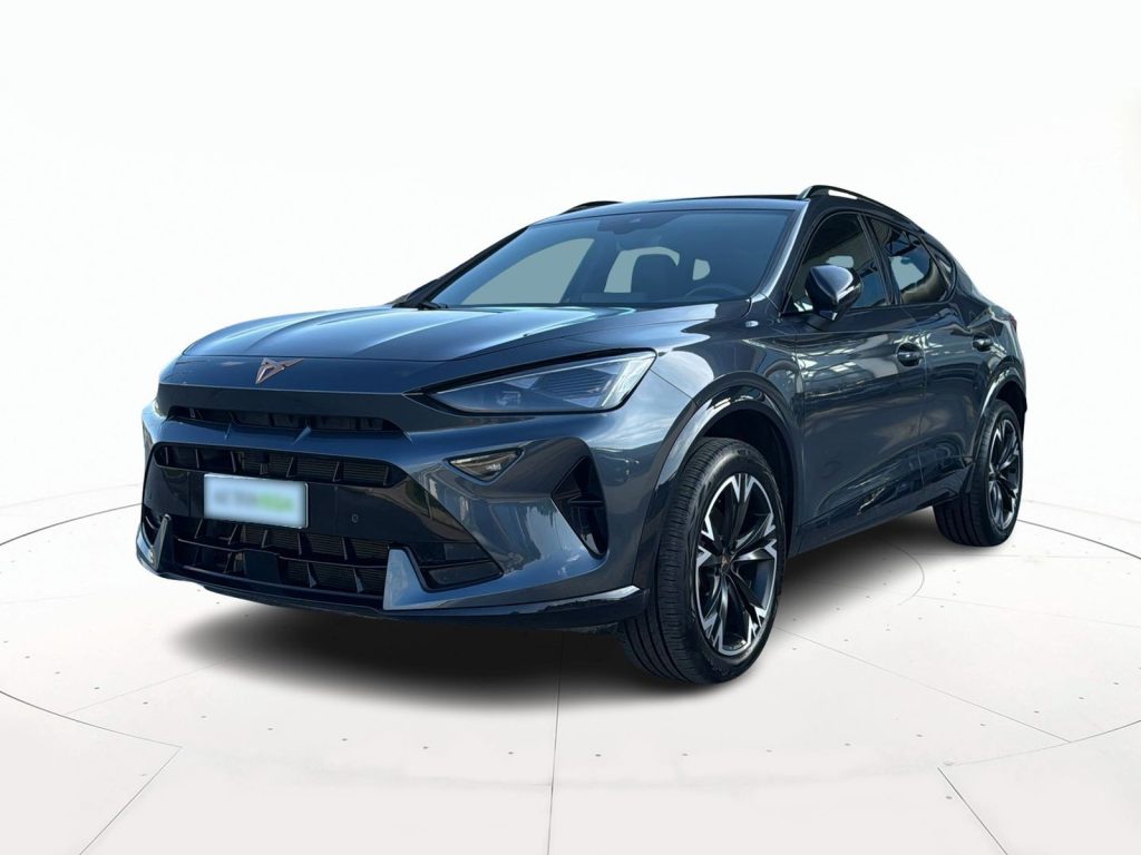 immagine usato CUPRA Formentor 2.0 tdi 150cv dsg