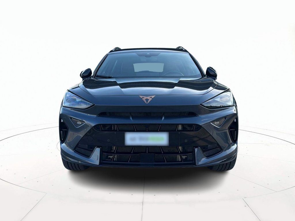 immagine usato CUPRA Formentor 2.0 tdi 150cv dsg