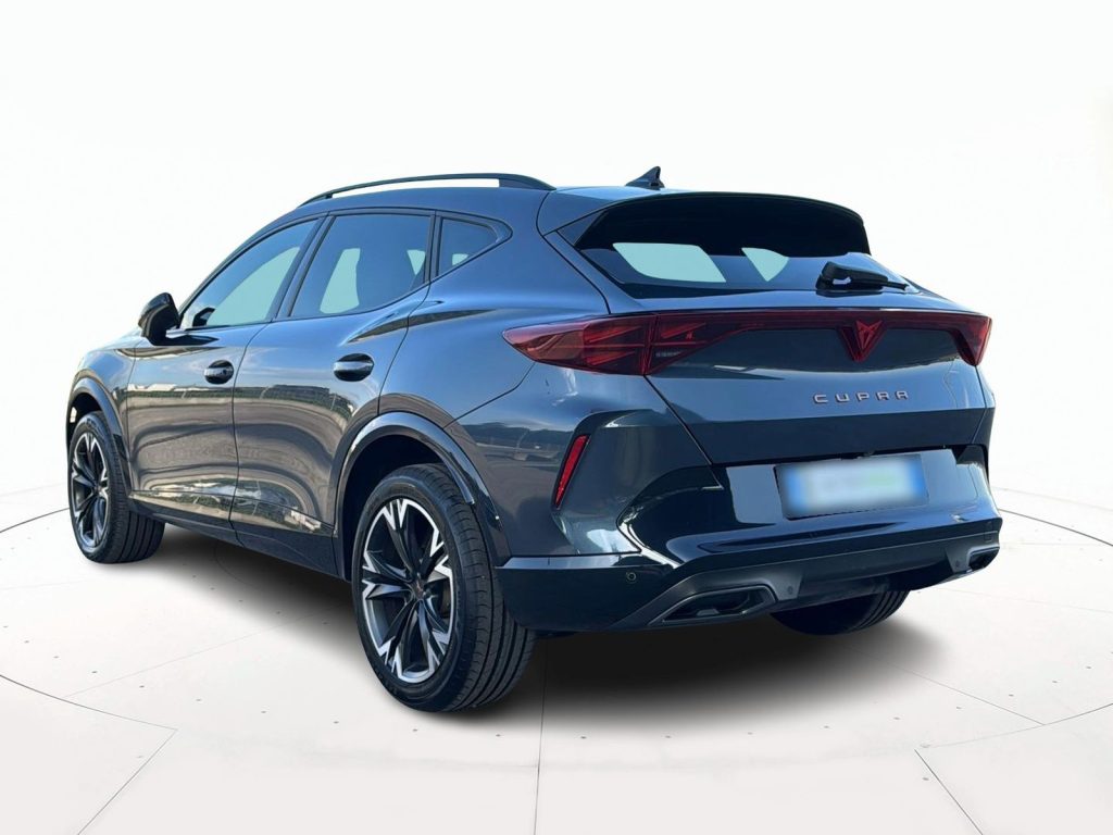 immagine usato CUPRA Formentor 2.0 tdi 150cv dsg