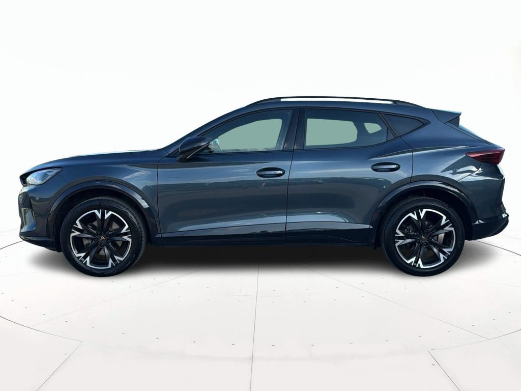 immagine usato CUPRA Formentor 2.0 tdi 150cv dsg