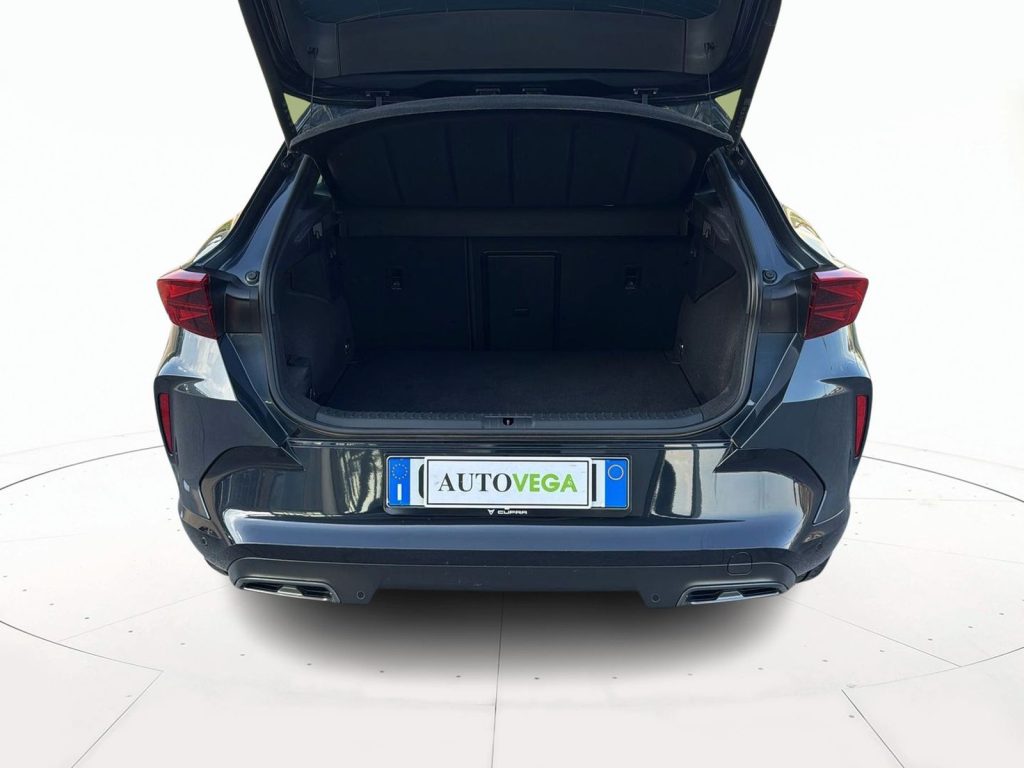 immagine usato CUPRA Formentor 2.0 tdi 150cv dsg