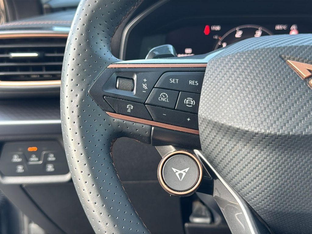 immagine usato CUPRA Formentor 2.0 tdi 150cv dsg