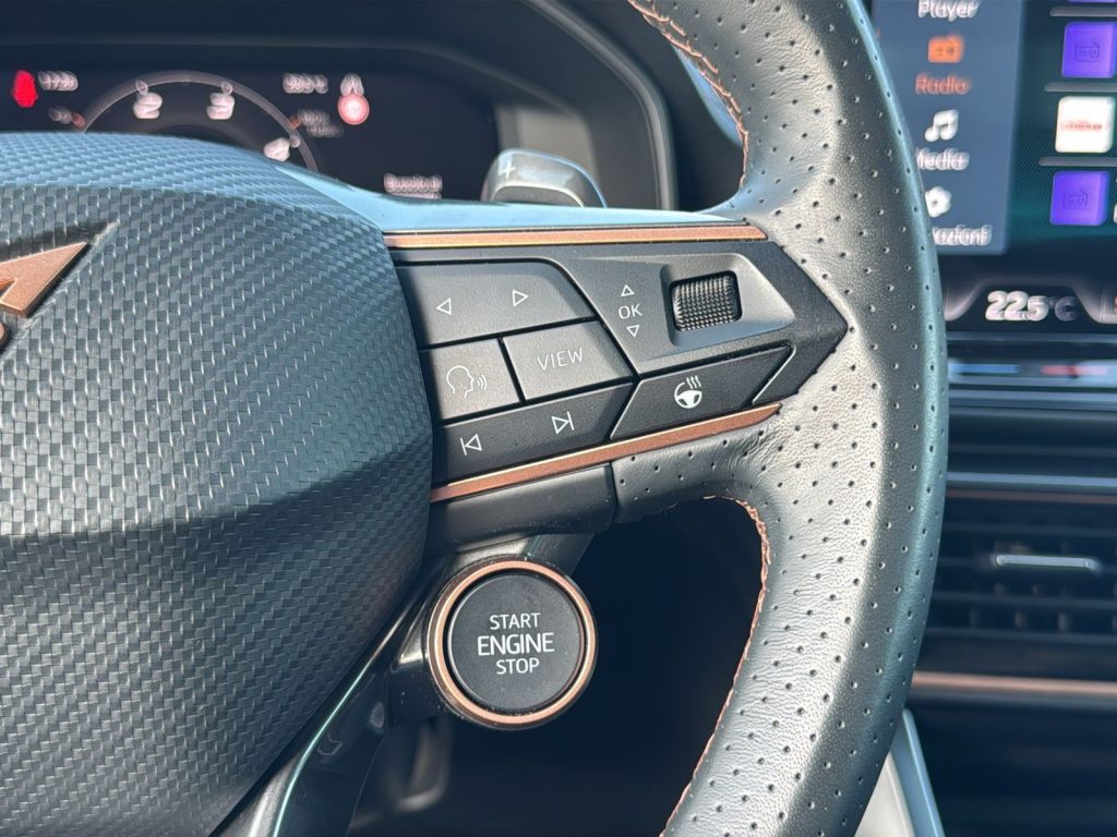 immagine usato CUPRA Formentor 2.0 tdi 150cv dsg