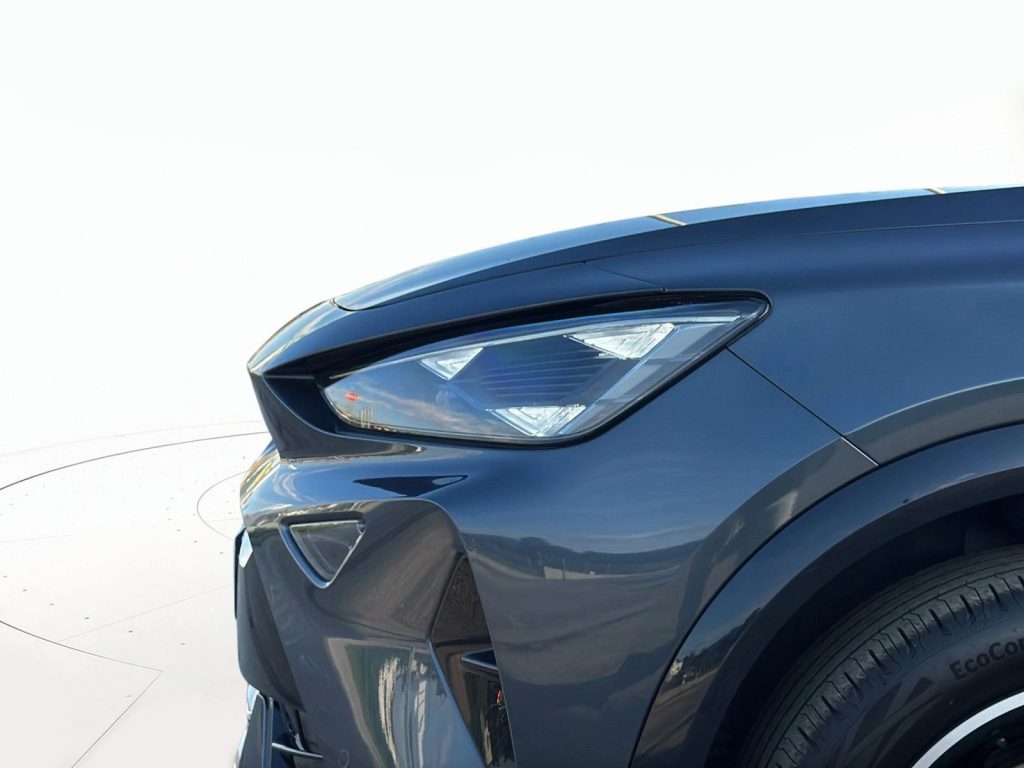 immagine usato CUPRA Formentor 2.0 tdi 150cv dsg