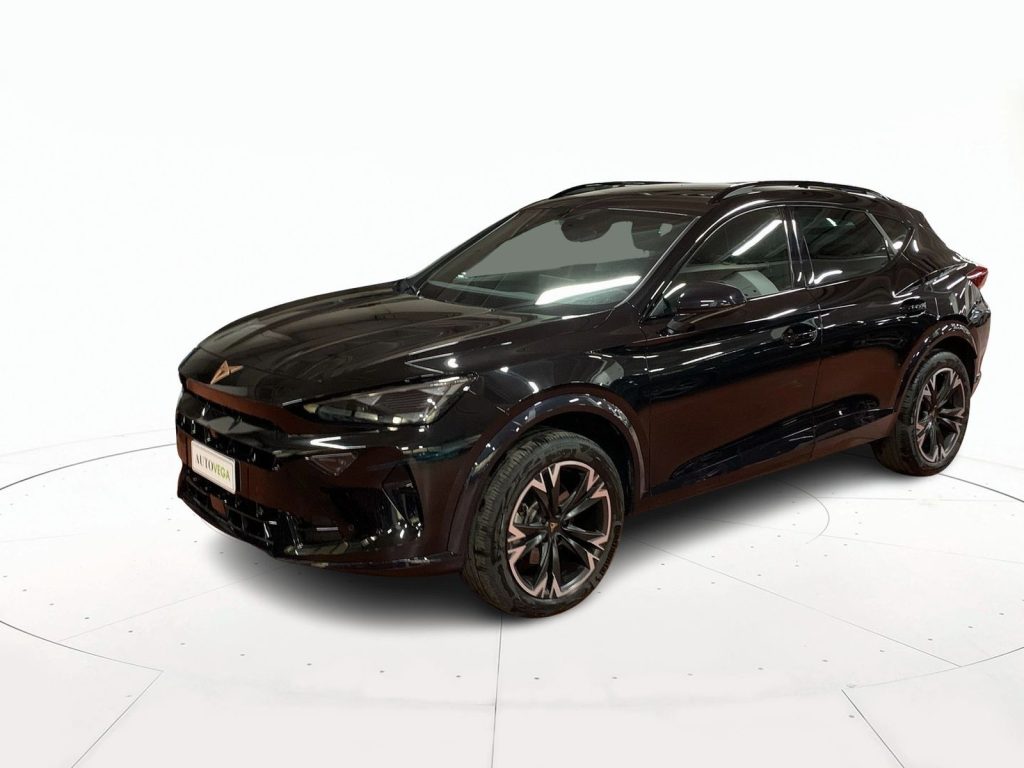 immagine usato CUPRA Formentor 2.0 tdi 150cv dsg