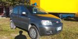 FIAT Panda 1.2 4x4 Climbing