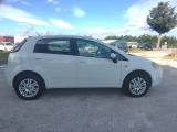FIAT Punto 1.4 8V 5 porte Natural Power Lounge