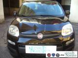 FIAT Panda 1.0 FireFly S&S Hybrid Pop Auto Nuova