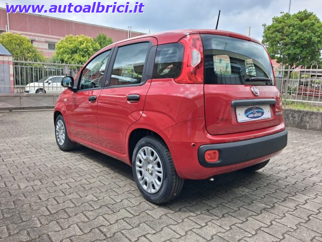 FIAT PANDINA 1.0 FIREFLY 65 CV HYBRID ICON KM - foto 7