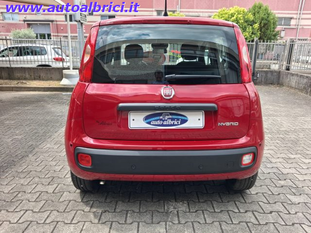FIAT PANDINA 1.0 FIREFLY 65 CV HYBRID ICON KM - foto 8