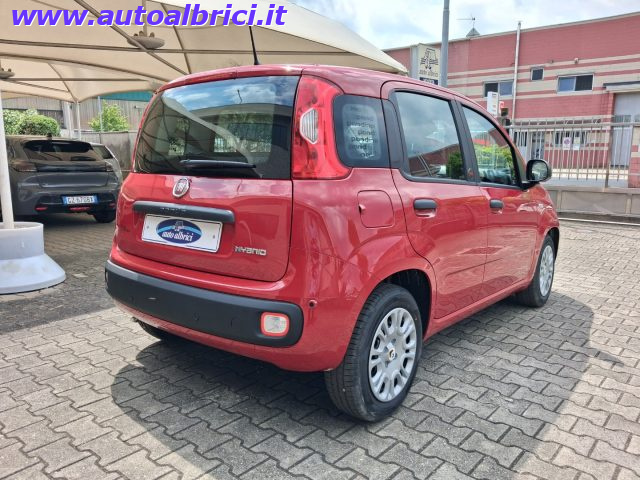 FIAT PANDINA 1.0 FIREFLY 65 CV HYBRID ICON KM - foto 9