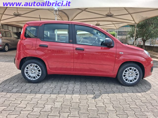 FIAT PANDINA 1.0 FIREFLY 65 CV HYBRID ICON KM - foto 10