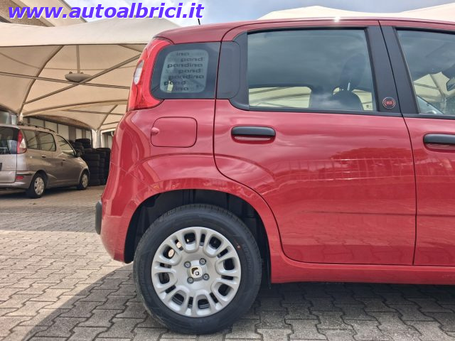 FIAT PANDINA 1.0 FIREFLY 65 CV HYBRID ICON KM - foto 11
