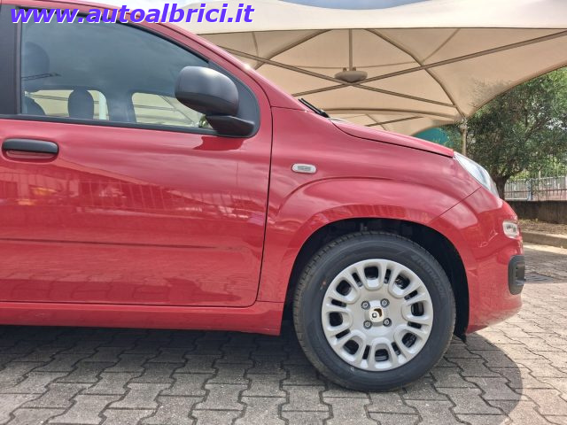 FIAT PANDINA 1.0 FIREFLY 65 CV HYBRID ICON KM - foto 12