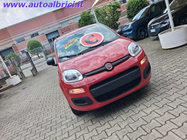FIAT PANDINA 1.0 FIREFLY 65 CV HYBRID ICON KM - foto 34