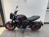 TRIUMPH Trident 660 TRIBUTE