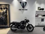 TRIUMPH Bonneville T100 .