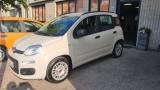 FIAT Panda 1.2 EasyPower Easy PREZZO REALE - NEOPATENTATI